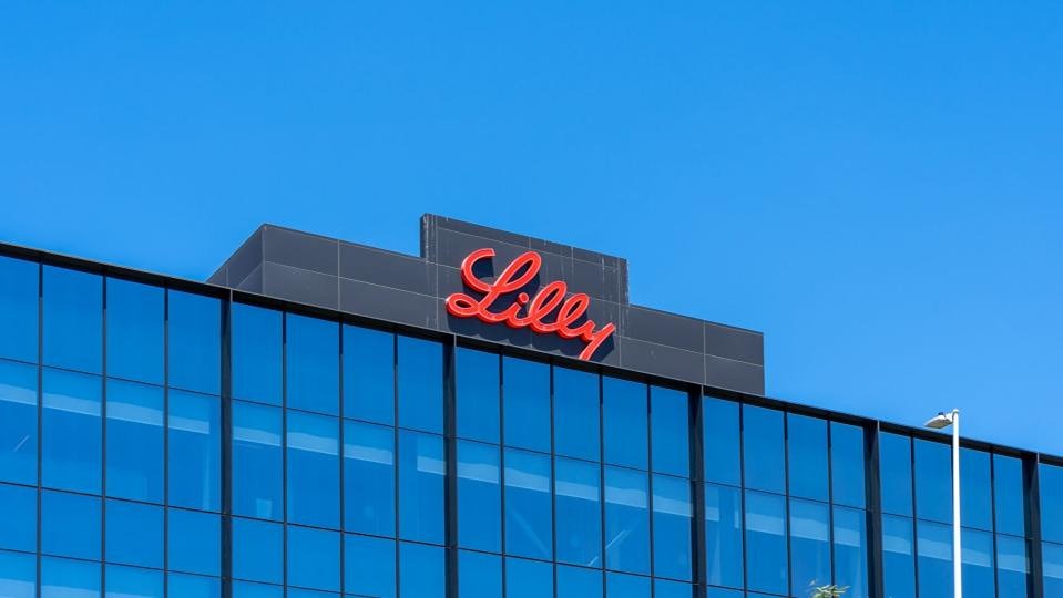 Согласно прогнозу JP Morgan на 2025 год, компания Eli Lilly не сможет достичь запланированного уровня выручки за 2024 год, который составляет 400 миллионов долларов