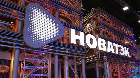 Сколько дивидендов заплатит НОВАТЭК за I полугодие?