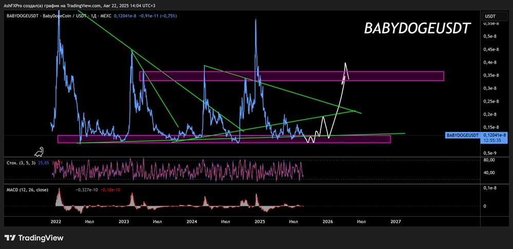 Какой долгосрочный прогноз крипты BABYDOGE?