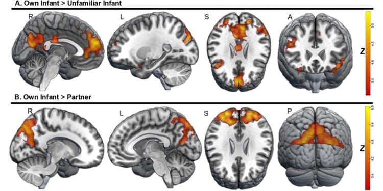 Могут ли отцы «читать» мысли своих новорождённых детей?