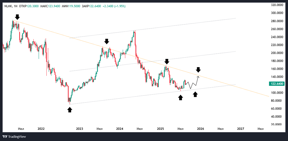Сможет ли НЛМК преодолеть кризис в металлургическом секторе
