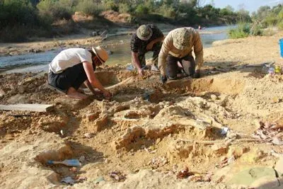 Как обнаружили останки 20-тысячелетнего мамонта на юге России?