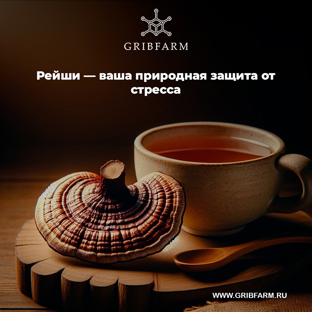 Как гриб Рейши может помочь справиться со стрессом в современном мире?