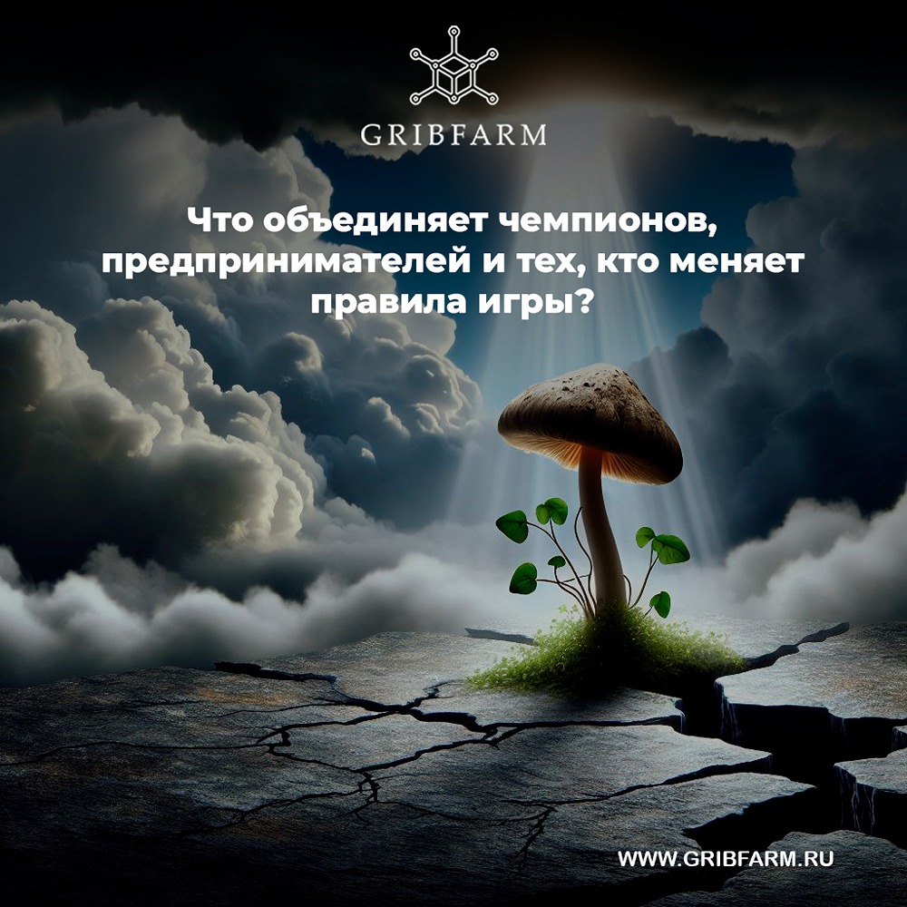 Как стать лидером, который создает свои условия для успеха?