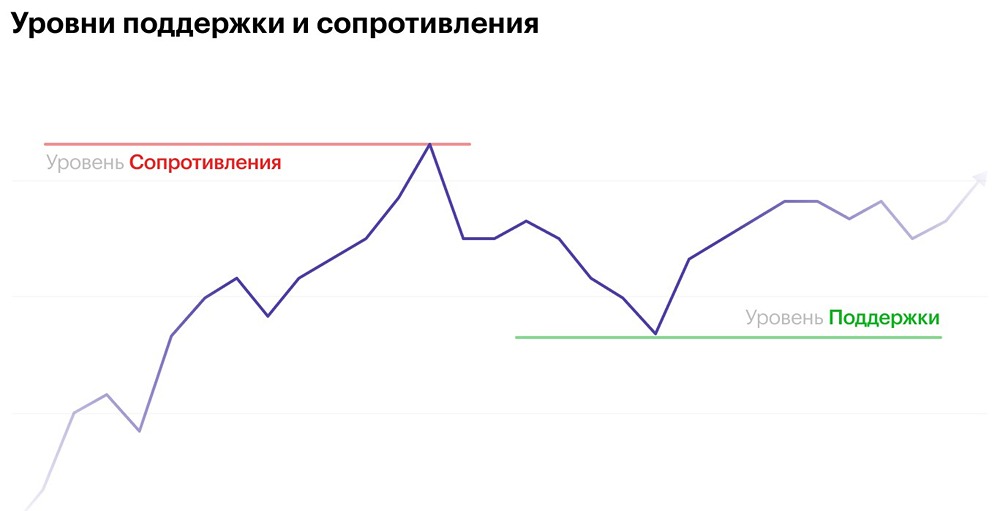 Как различаются быки и медведи в трейдинге и какую роль они играют на рынке?