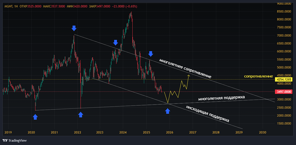 Есть ли шанс на восстановление акций Магнита после падения и отсутствия дивидендов?