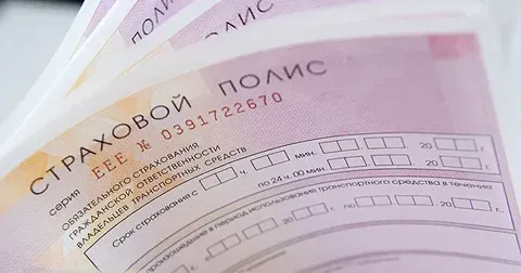 Сколько стоит ОСАГО и каско в 2025 году?