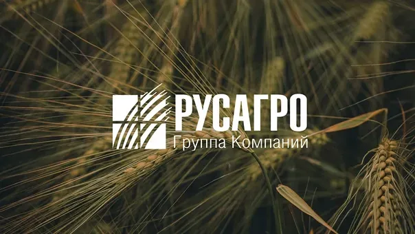 Как уголовное дело влияет на будущее акций Русагро?