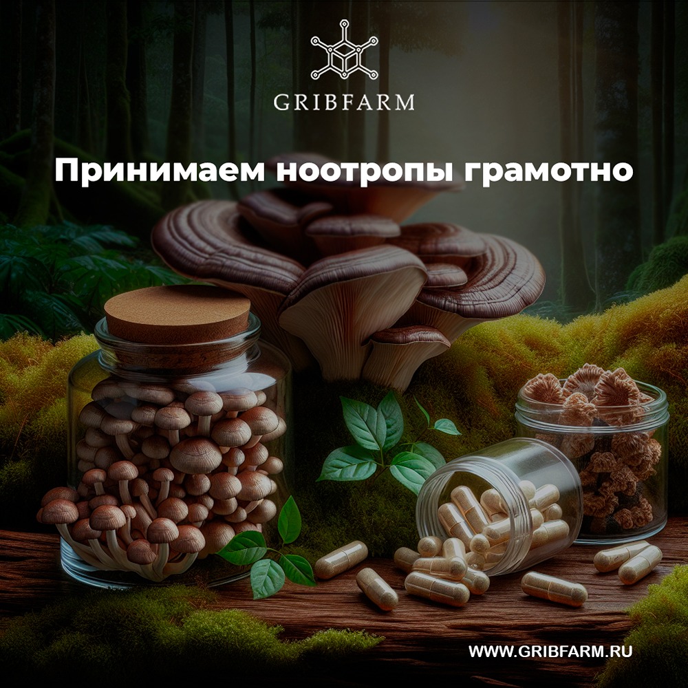 Что такое ноотропы и как они влияют на работу мозга?