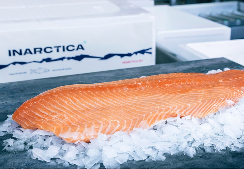 Стоит ли инвестировать в акции Инарктики: каковы перспективы роста на 2026 год?