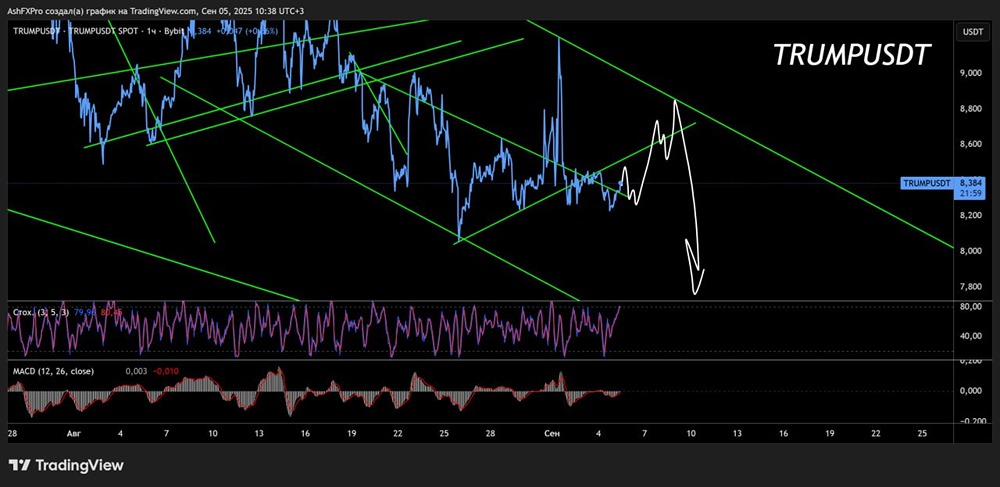 По каким ценам лучше покупать крипту TRUMP в сентябре?