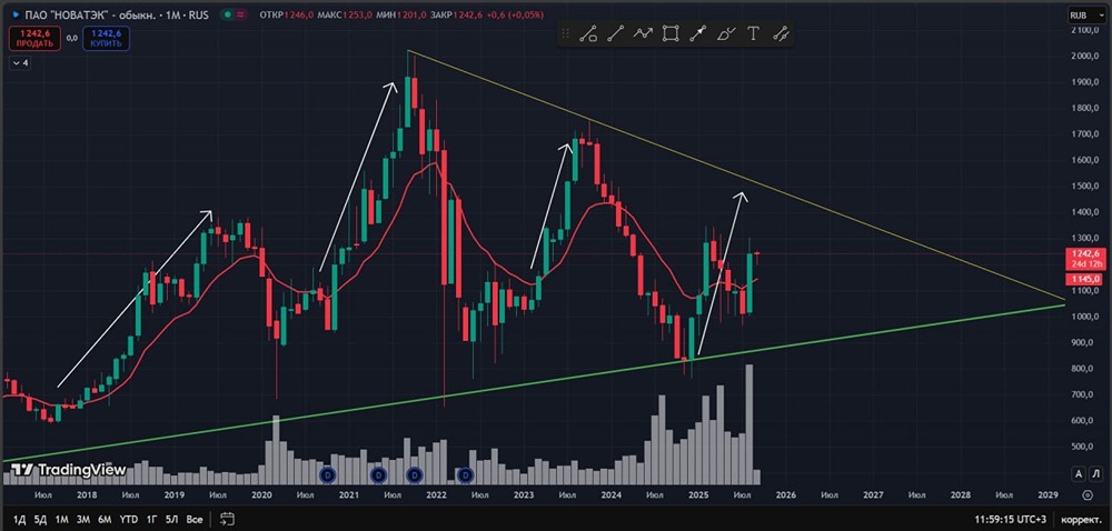Почему Новатэк стал приоритетной акцией для долгосрочных вложений?