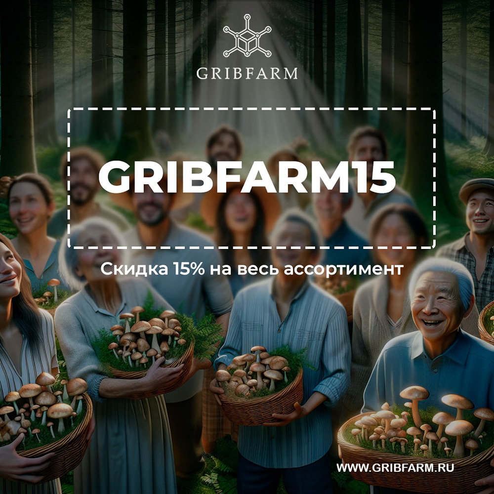 Как наши грибные добавки могут укрепить ваш иммунитет?