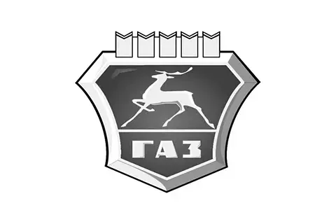 Почему ГАЗ решил не включать проект в свой периметр?