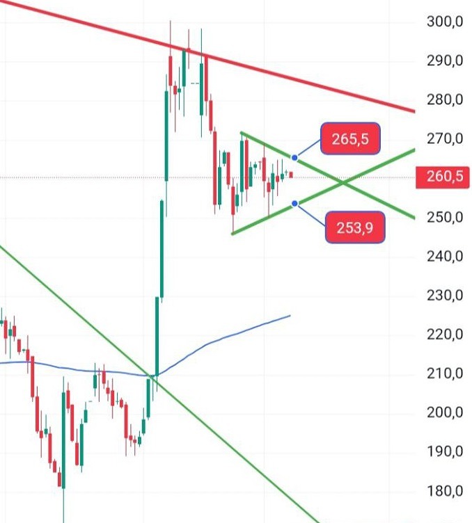 Когда стоит покупать акции СПБ Биржи: на пробое 265.5 или ниже 227?