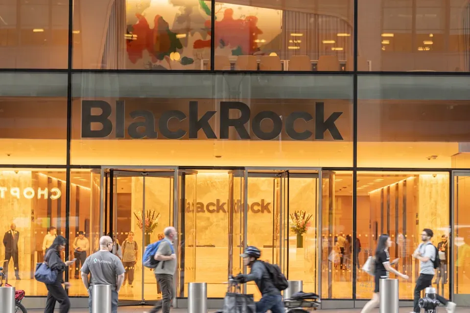 BlackRock станет крупнейшим акционером SellerX после сделки по долгам