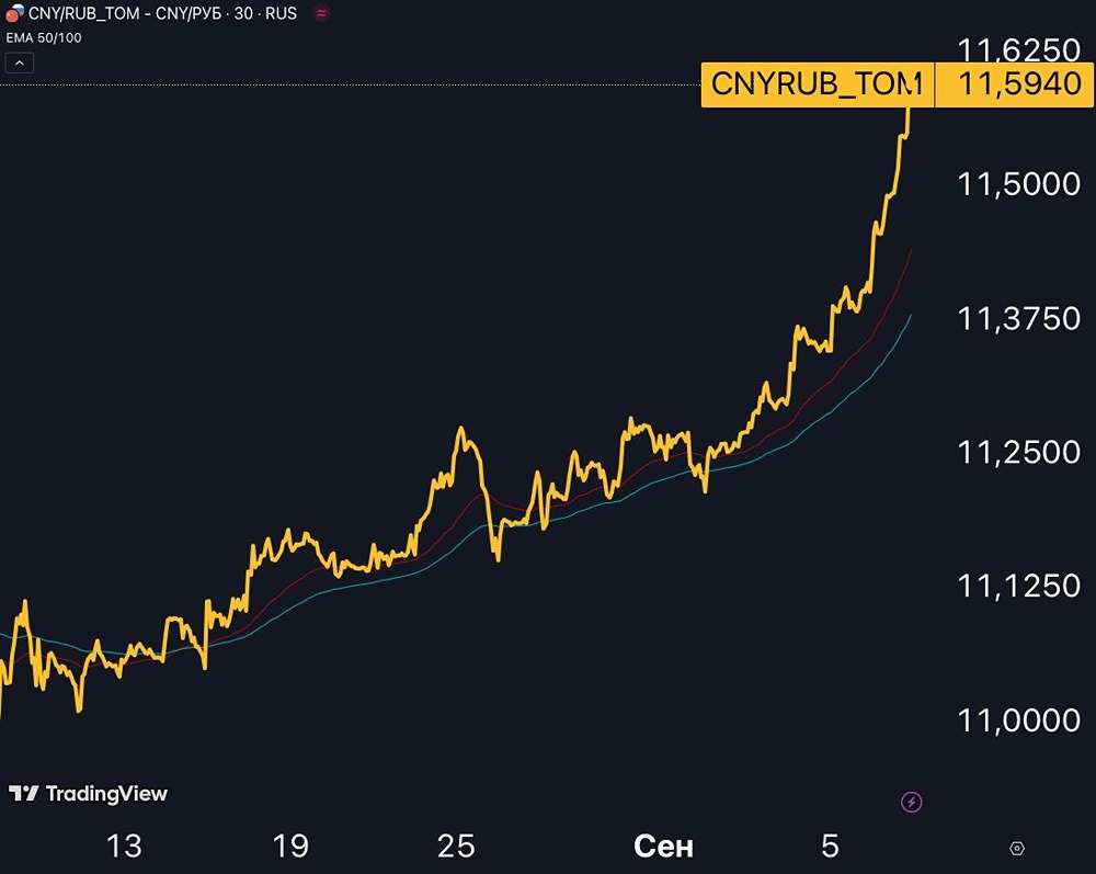 Какие факторы определяют будущее рубля: стоит ли паниковать?
