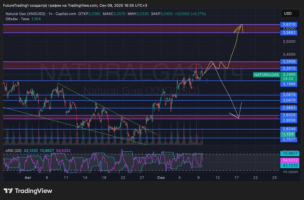 Какие сценарии ожидают рынок котировок природного газа в преддверии зимы?