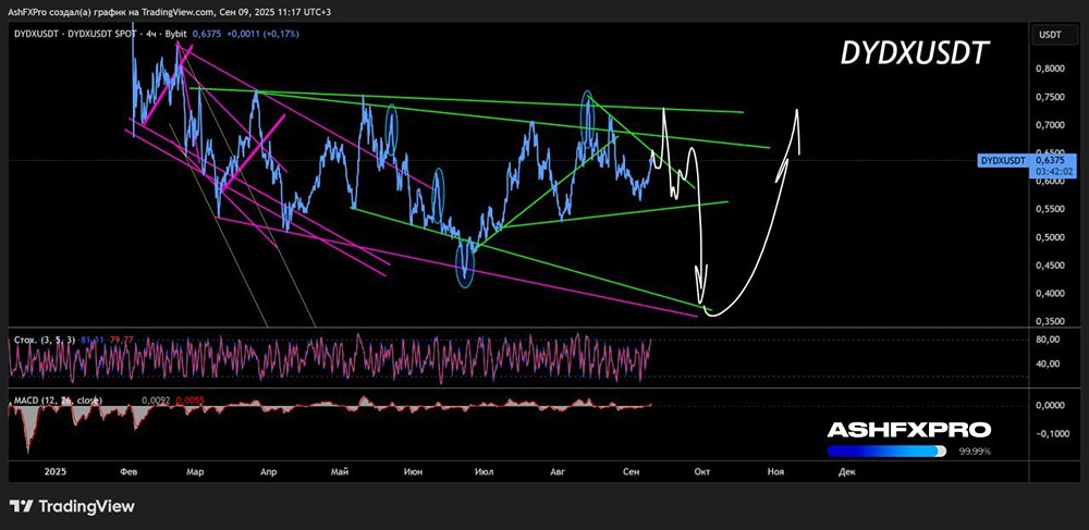 Будет ли еще расти крипта DYDXUSD в 2025 году?