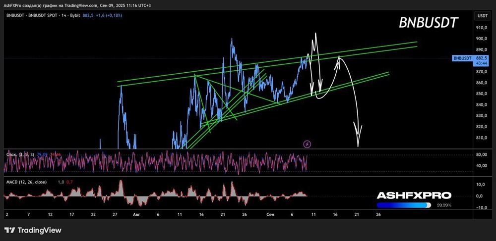 Какие учитывать риски при торговле криптой BNBUSD в сентябре 2025 года?