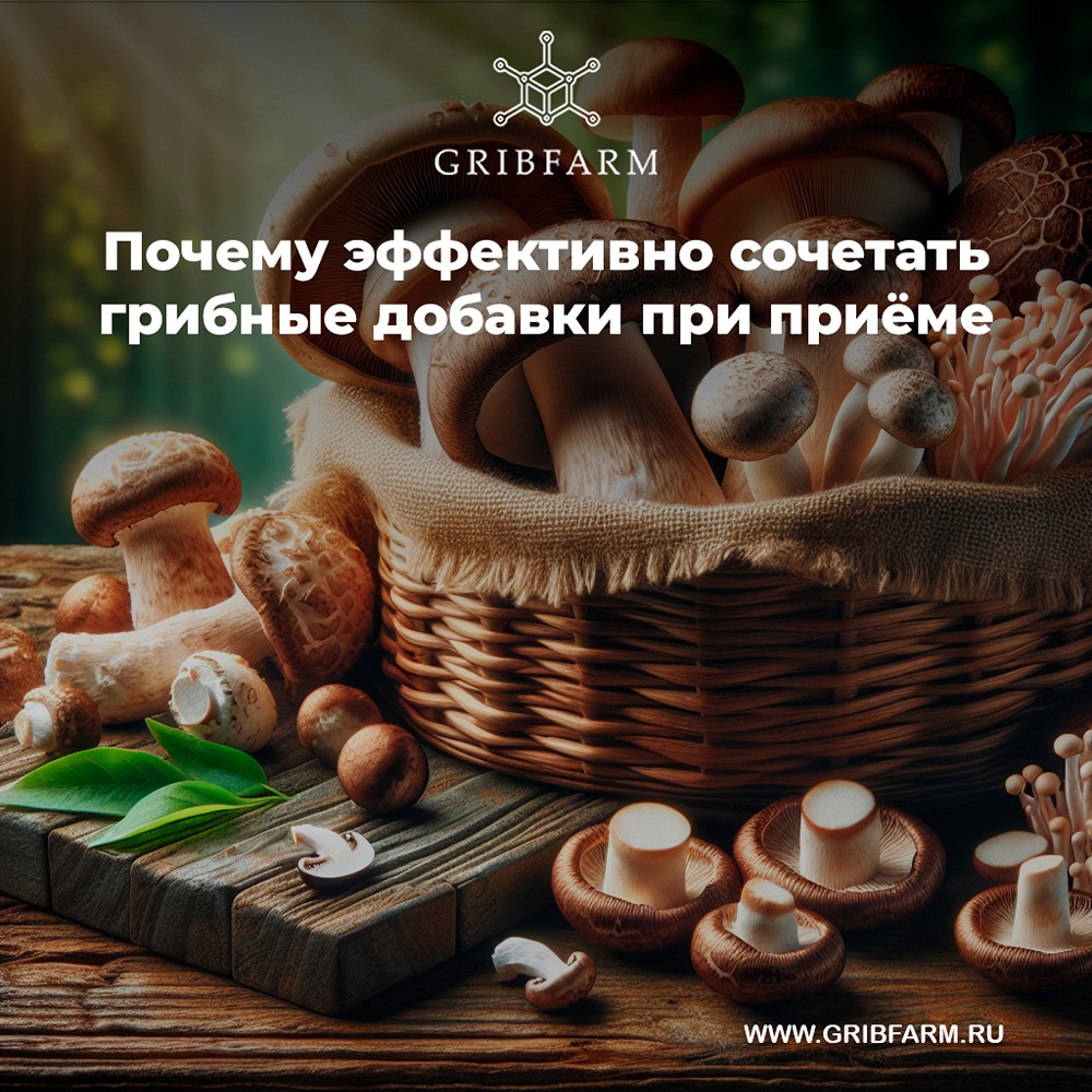 Какие преимущества дают грибные добавки для иммунной системы человека?