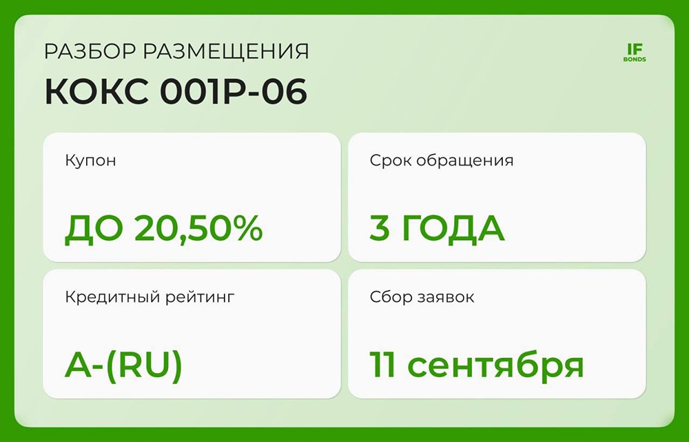Какие риски вложений в новый выпуск облигаций ПАО «Кокс» серии 001Р-06?