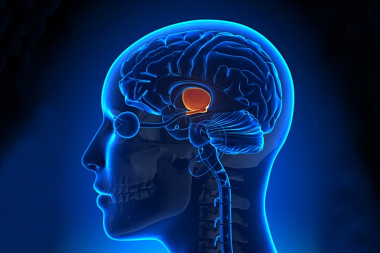Какие психологические ошибки трейдеров мешают зарабатывать на бирже?