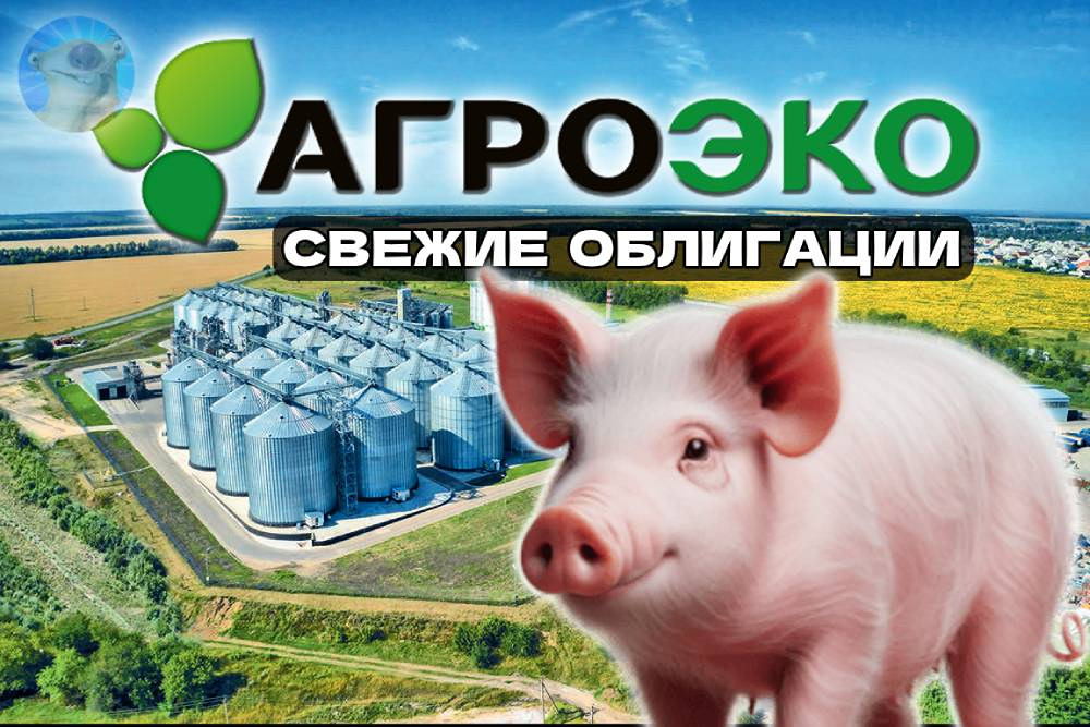 Какие риски и выгоды несет выпуск облигаций Агроэко серии 1Р1?