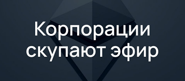 Какие компании владеют крупнейшими запасами ETH в 2025 году?