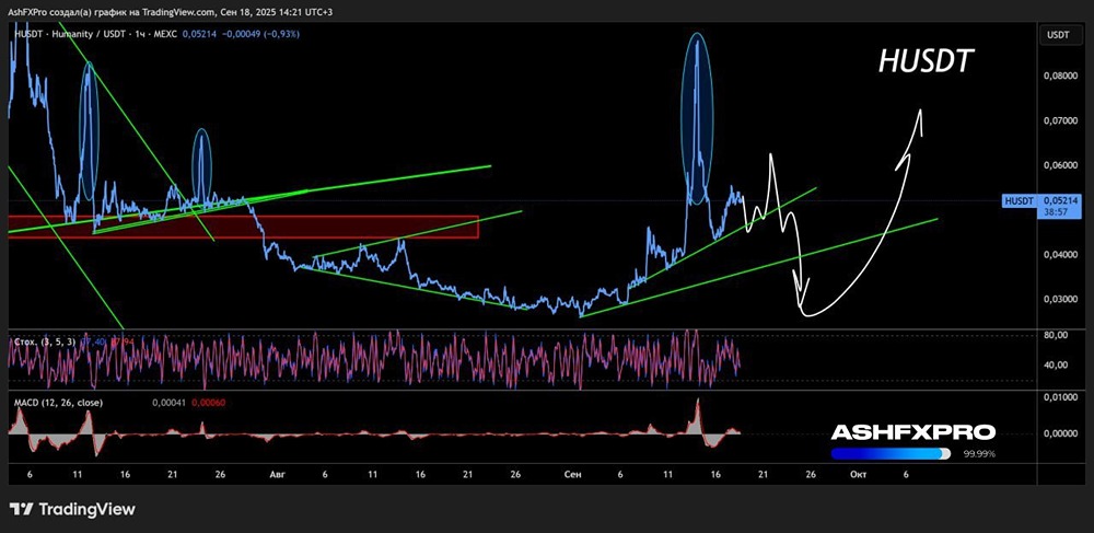 Стоит ли инвестировать в криптовалюту HUSD сейчас?