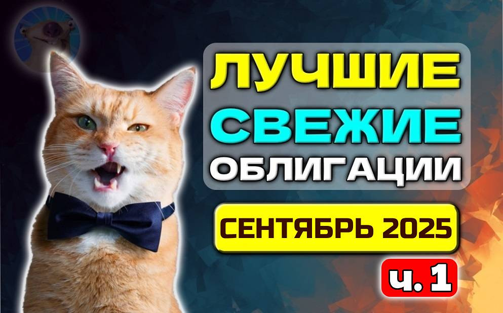 Как выбрать лучшие облигационные выпуски сентября 2025?