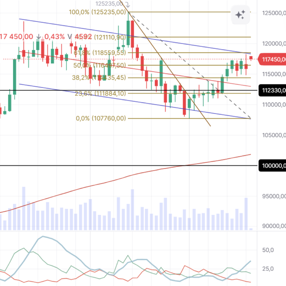 Готовится ли Bitcoin к сильному откату после $118,6K?