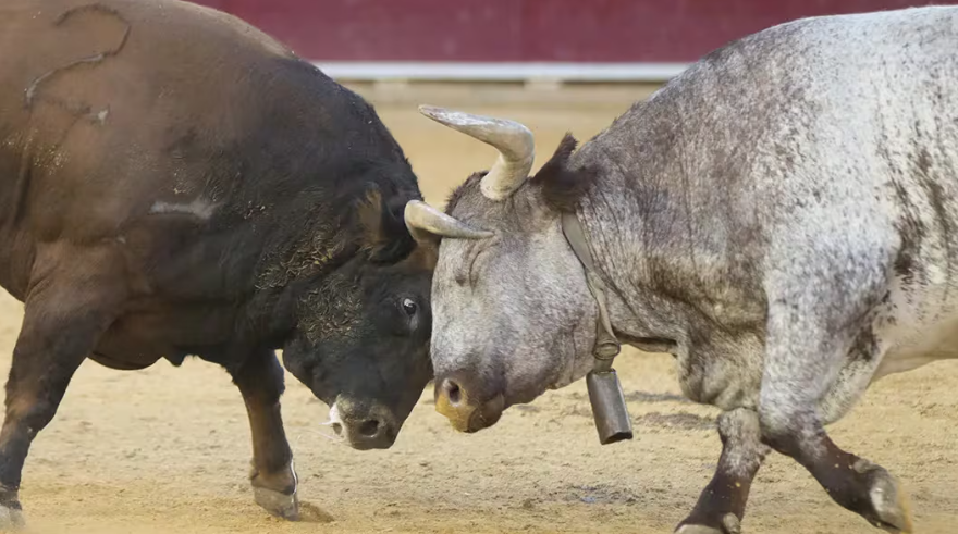 Биткоин приближается к 64 тысячам долларов