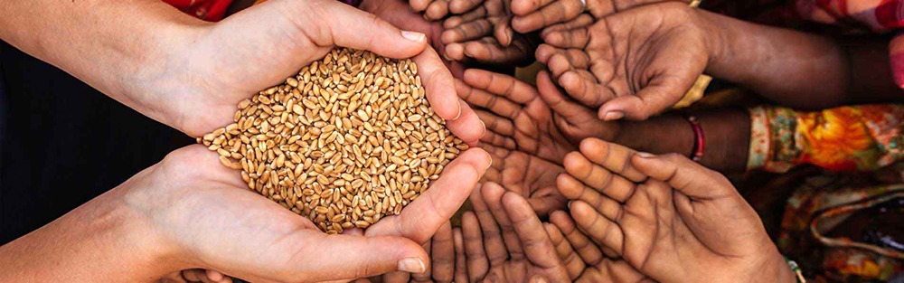 
Цены на продовольствие в сентябре выросли на 3%