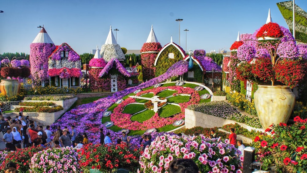 Какие новшества ждут посетителей Dubai Miracle Garden в этом сезоне?