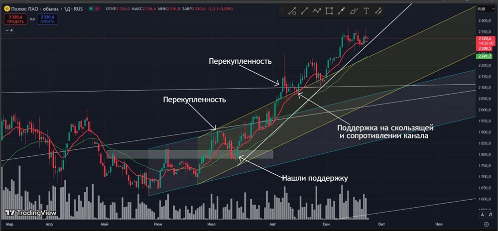 Как растущее золото влияет на акции Полюса в текущий момент?
