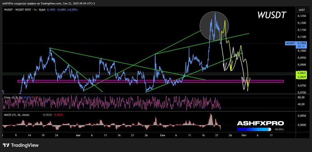 Стоит ли держать WUSDT или лучше продать?