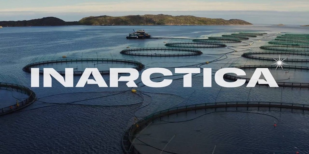 Какие факторы влияют на выплату дивидендов "Инарктикой"?