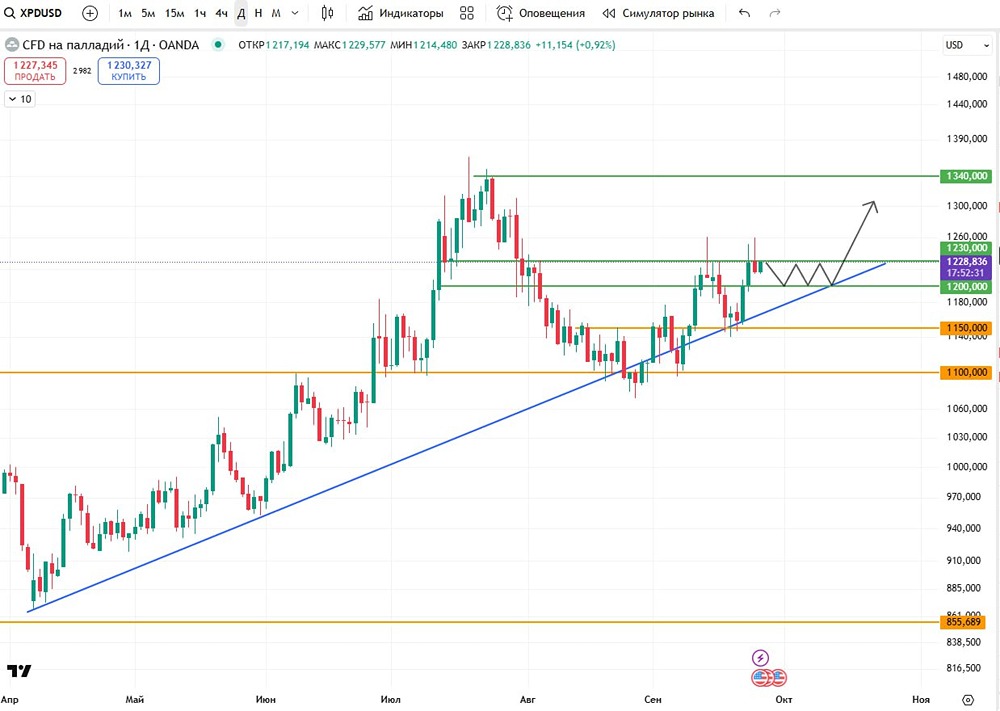 Какие перспективы палладия после его недавнего роста?