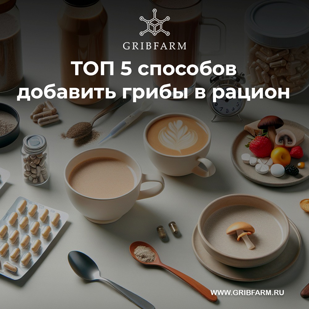 Грибные добавки: 5 способов применения в ежедневном рационе