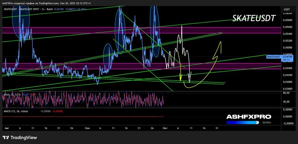 Что ожидать от криптовалюты SKATEUSD в ближайшее время?