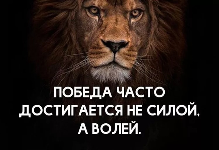 Как развить силу воли: практические методы укрепления самоконтроля