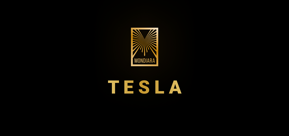 Tesla потеряла позиции в Европе из-за старых моделей и китайской конкуренции