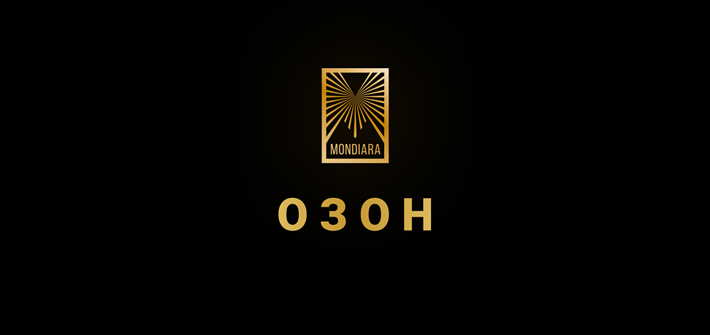 Ozon ВКонтакте: новая рекламная платформа