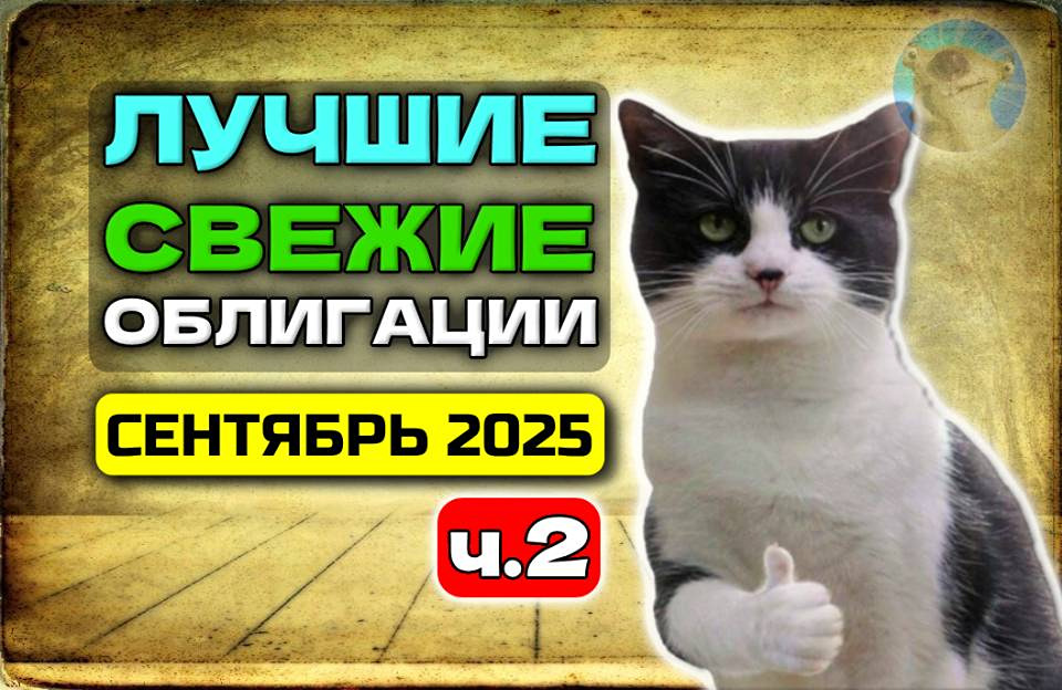 Новые облигации сентября 2025: обзор 6 лучших выпусков с детальным анализом
