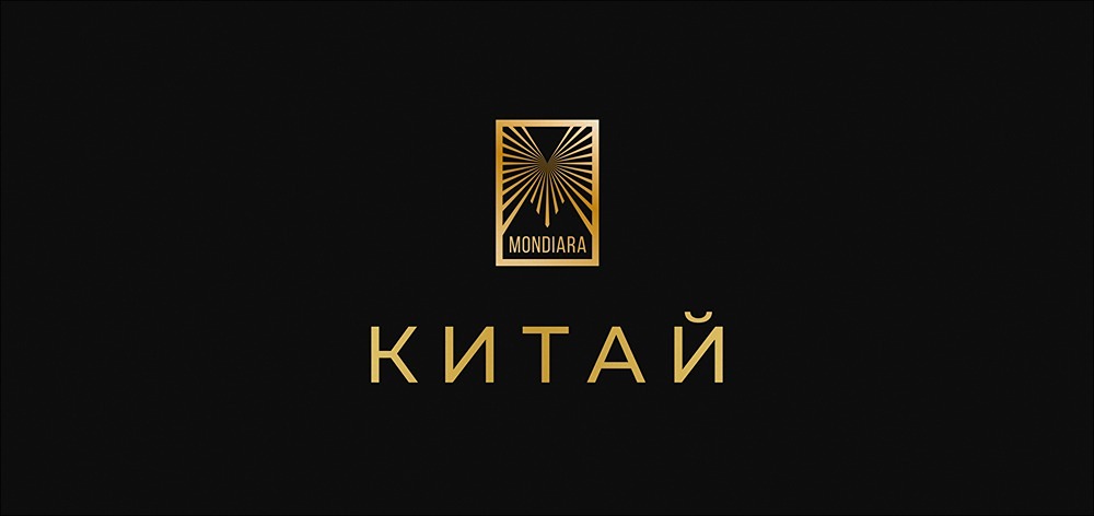 Беспилотное будущее: китайские компании завоевывают Европу