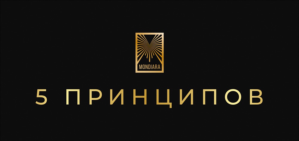 От идеи к прибыли: 5 ключевых принципов успешного бизнеса
