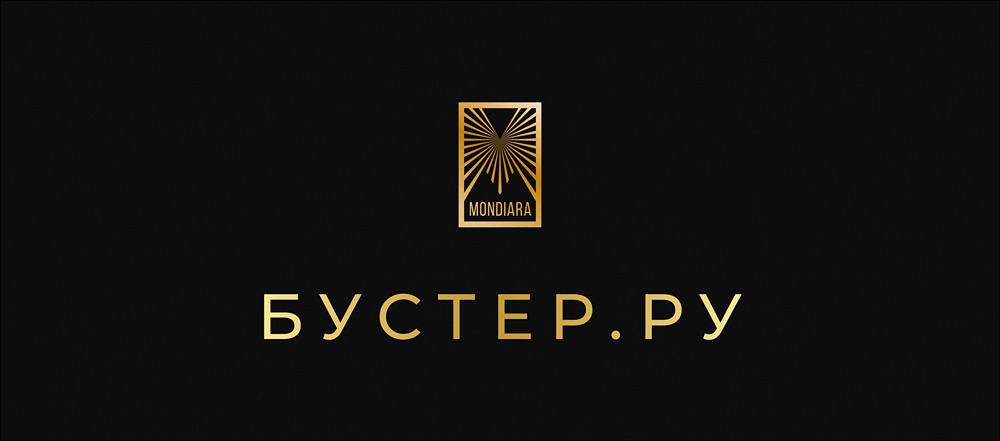 БО-01 «Бустер.Ру»: детальный обзор параметров займа