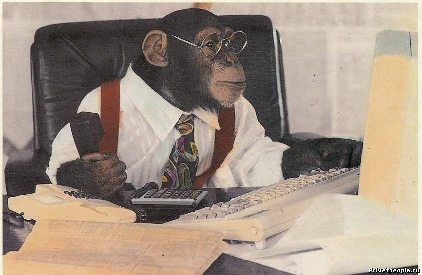 Искусство выражать мысли: ключ к успешной коммуникации