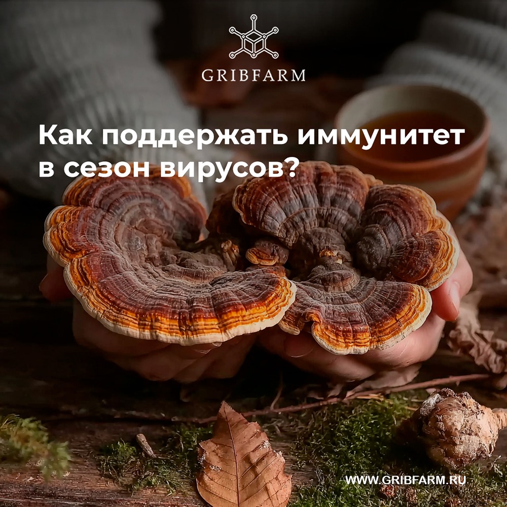 Как укрепить иммунитет осенью: натуральные способы защиты от вирусов